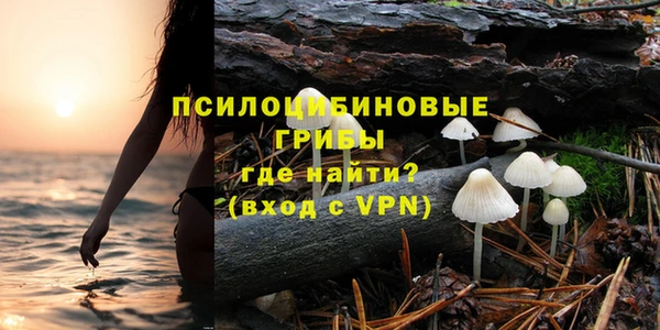 хмурый Алексеевка