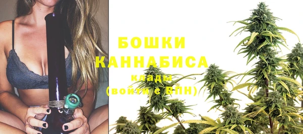 стафф Дмитров