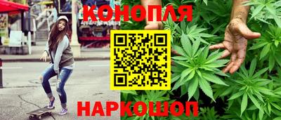 PSILOCYBIN Канаш