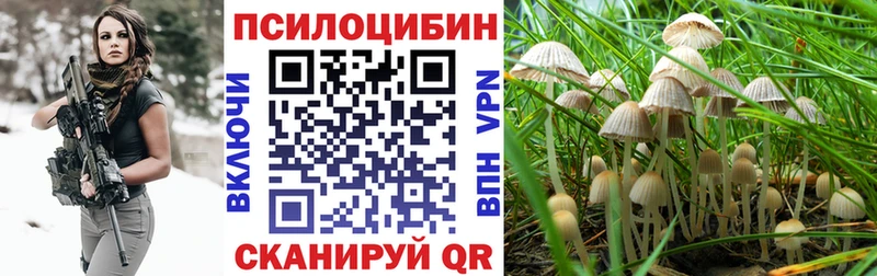 hydra вход  Лабытнанги  Галлюциногенные грибы прущие грибы 