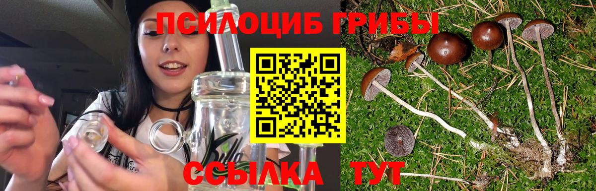 Галлюциногенные грибы GOLDEN TEACHER Лабытнанги